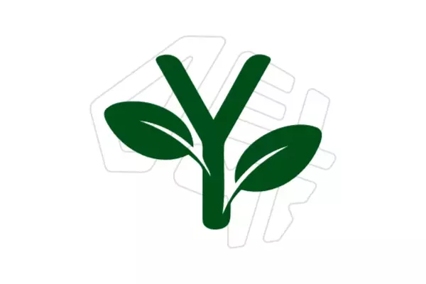 I will create an exclusive logo with the letter "Y", featuring precise strokes, a creative style, and a modern appearance that conveys quality and visual authenticity.