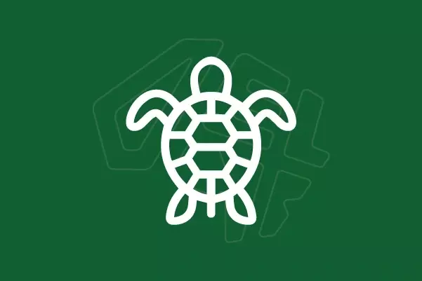 Servicio Para Crear Un Logotipo Único De Una Tortuga Logotipo de tortuga creado de forma exclusiva, combinando estilo contemporáneo, trazos precisos y un acabado impecable para resaltar una identidad única y elegante.