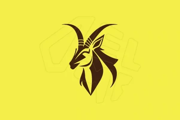 Voy a crear un logotipo desde cero con un diseño único y moderno, destacando la elegancia, el equilibrio y la originalidad para una identidad visual profesional.