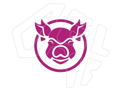 Vector logo design created by artificial intelligence preserving colors and shapes