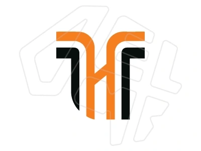 Professional designer develops personalized initial letter logo
